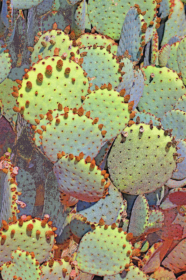Prickly Pear Cactus With New Flower Buds Digital Art by Tom Janca