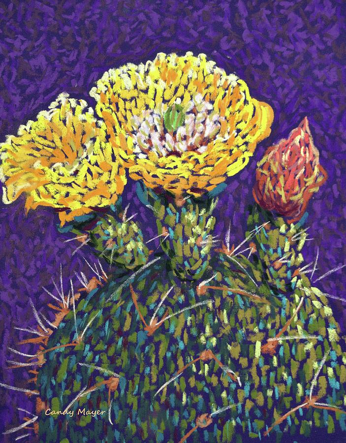 Prickly Pear Flower Pastel by Candy Mayer