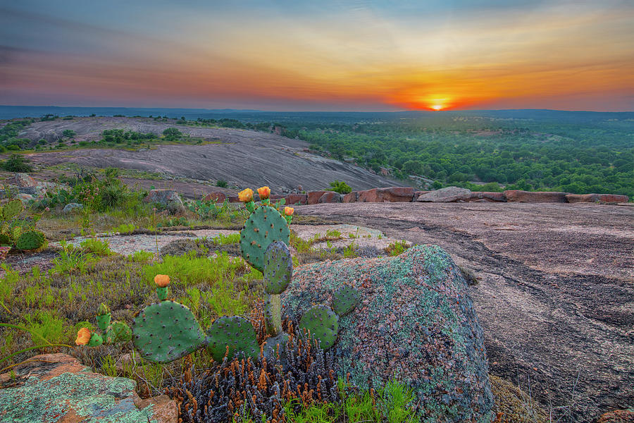 Prickly Pear Sunset in the Hill Country 4281 Photograph by Rob Greebon