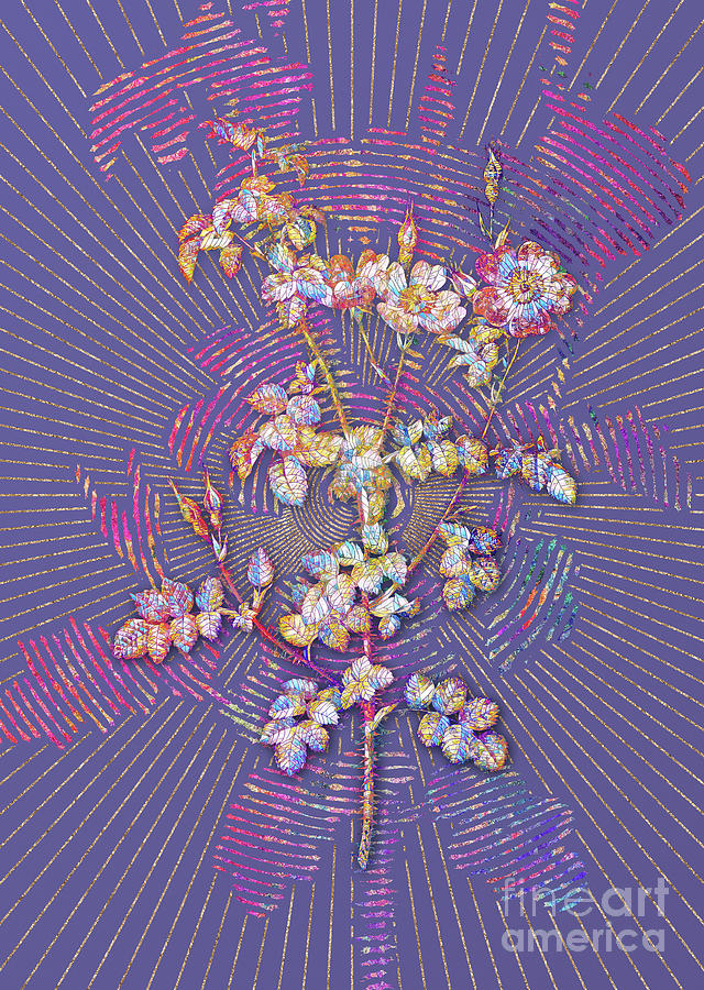 Prickly Sweetbriar Rose Mosaic Botanical Art on Veri Peri n.0318 Mixed Media by Holy Rock Design