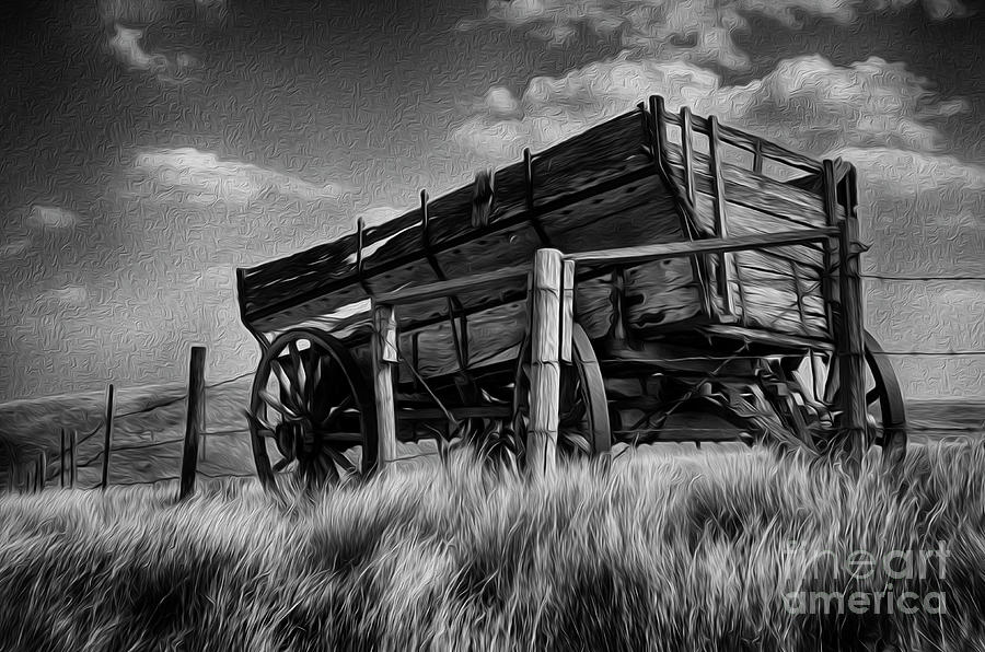 Pride In The Prairies Monochrome Photograph by Bob Christopher
