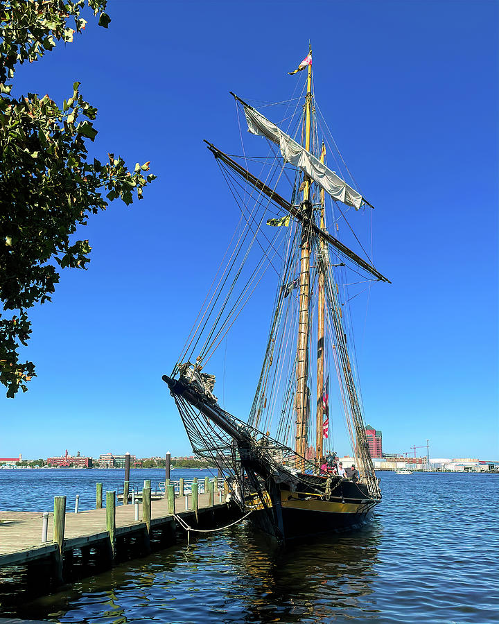 Pride of Baltimore II at Fort McHenry Photograph by Bill Swartwout