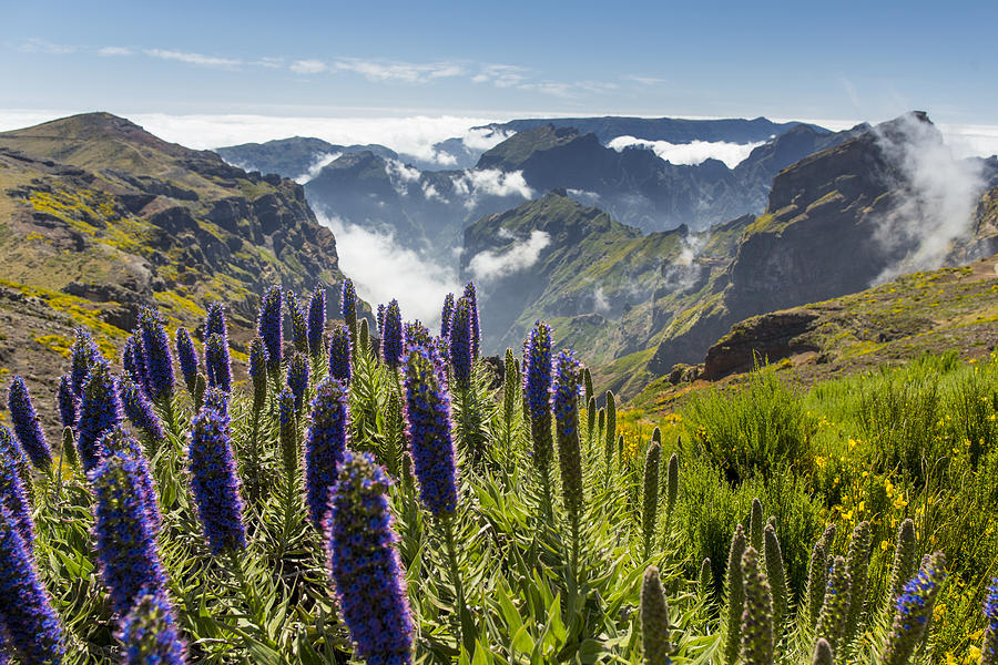 Pride of Madeira at Pico de Arieiro Photograph by Merten Snijders