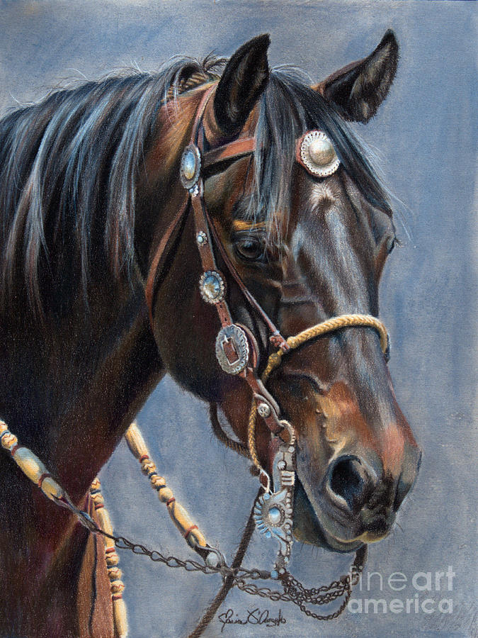 Pride of the Vaquero Drawing by Maria D'Angelo Fine Art America