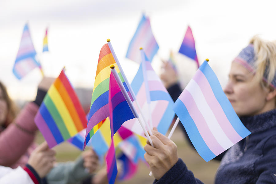 Pride protest Photograph by Vladimir Vladimirov