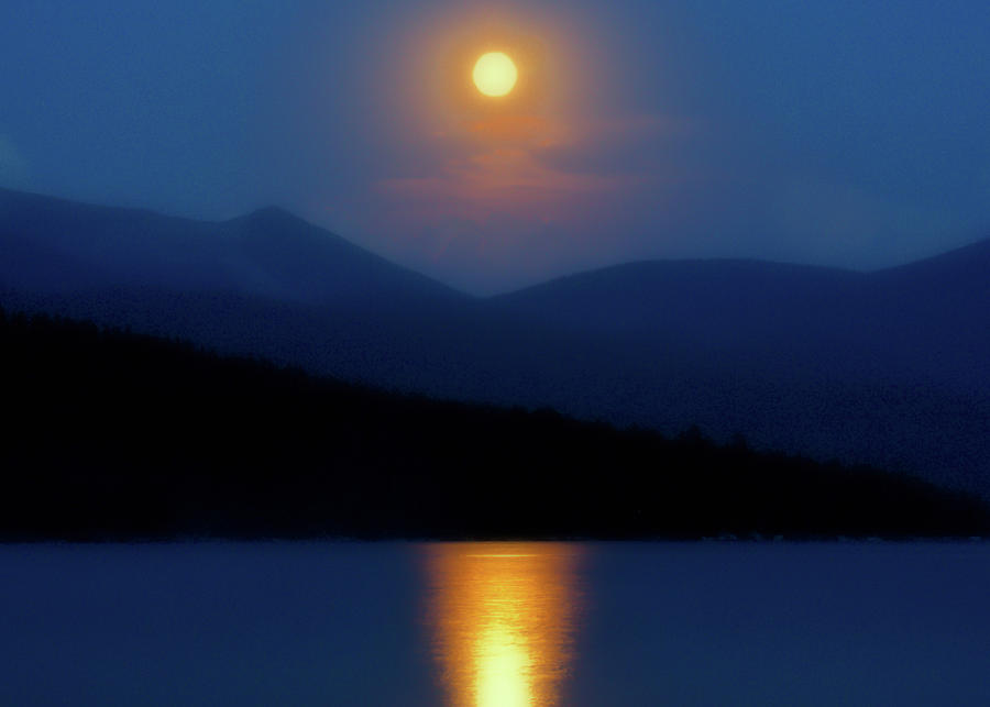 Tree Photograph - Priest Lake Moonrise by David Patterson