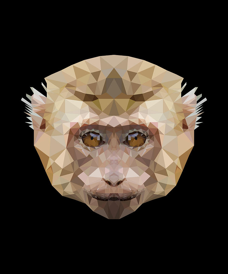 Primate Monkey Head Digital Art by Alpsikron - Fine Art America