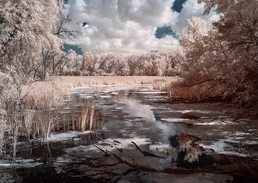 Primordial Reflections - cattail lined waterway leading to Lake Kegonsa in infrared Photograph by Peter Herman