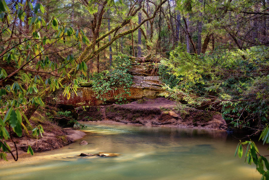 Primordial scenery- Rock Bridge at Red River Gorge Kentucky Photograph by Peter Herman