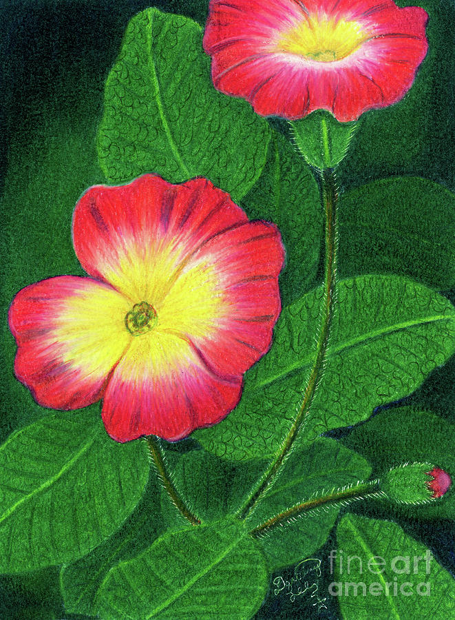 Primroses Painting by Dorothy Lee