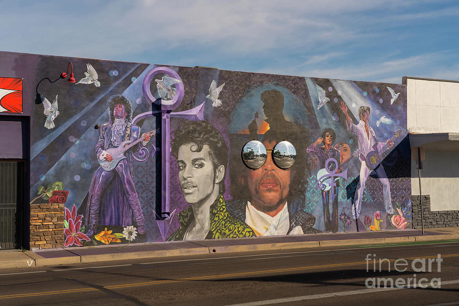 Prince Wall Mural pano Photograph by Jim Schmidt MN