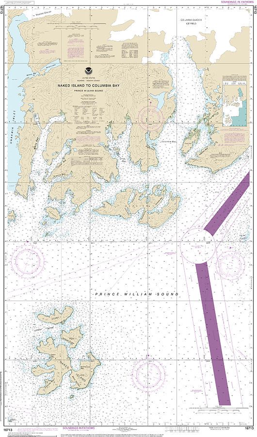 Prince William Sound Naked Island To Columbia Bay Nautical Chart Digital Art By John