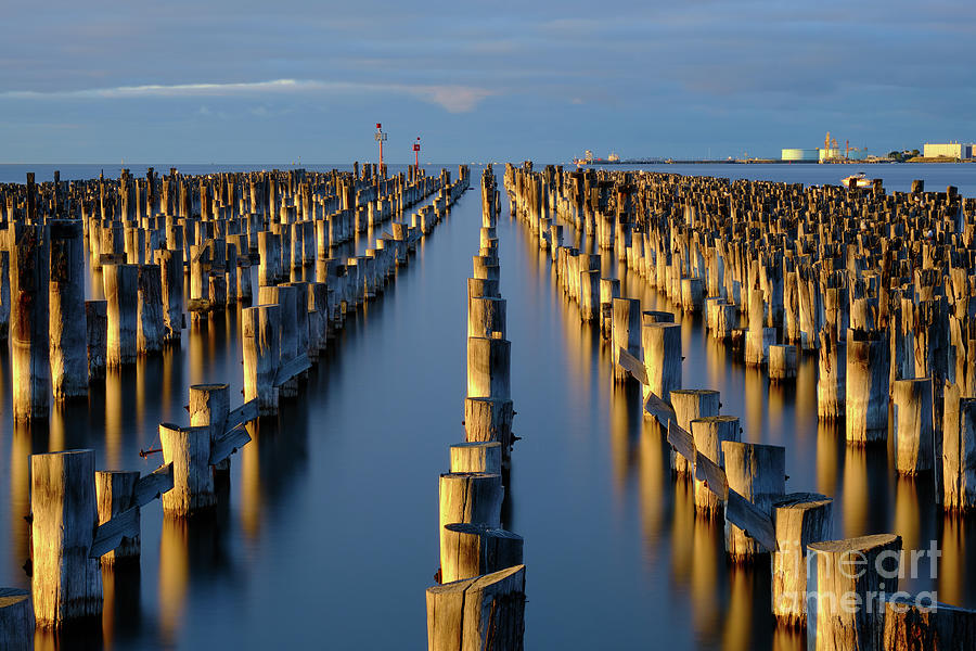 Princes Pier Photograph by Neil Maclachlan