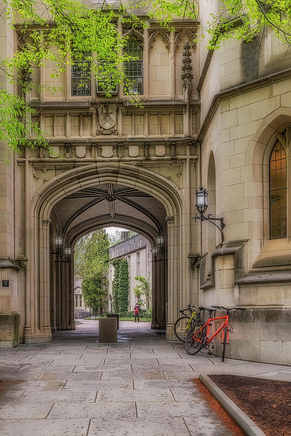 Princeton University Arches Photograph by Susan Candelario