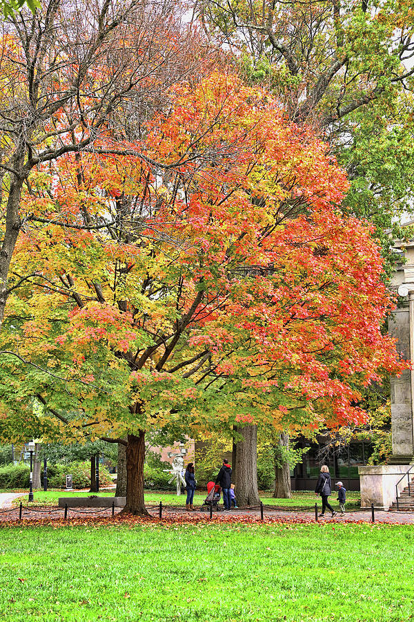 Princeton University - Autumn Splendor IV Photograph by Allen Beatty ...