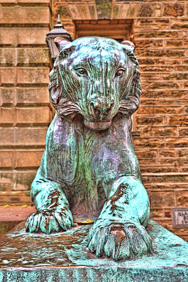 Princeton University - Nassau Hall Tiger II Photograph by Allen Beatty