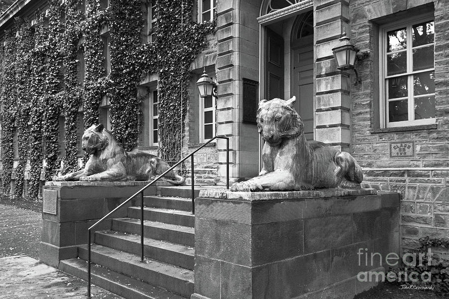 Princeton University Nassau Hall Tigers Photograph by University Icons