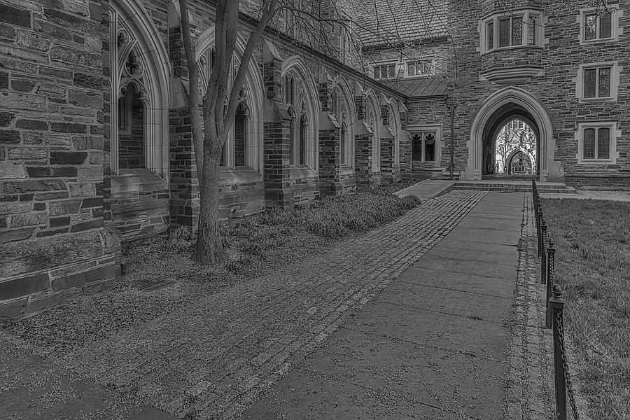 Princeton University Spring BW Photograph by Susan Candelario