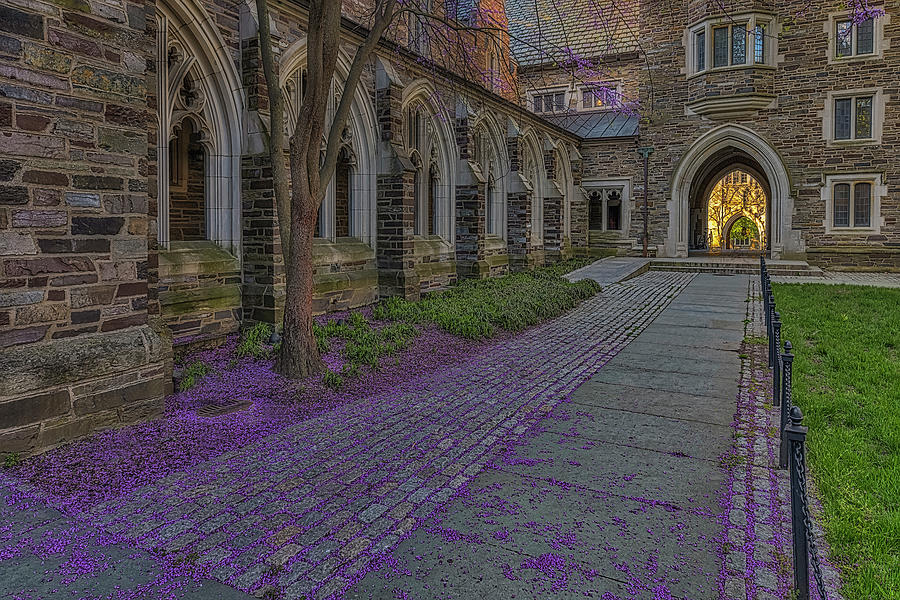 Princeton University Spring Photograph by Susan Candelario