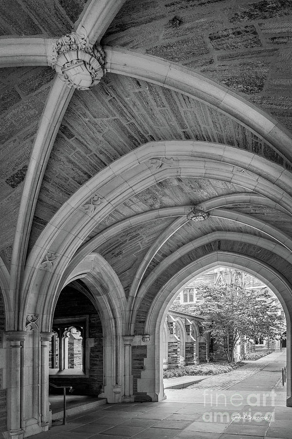Princeton University Stone Arches Photograph by University Icons