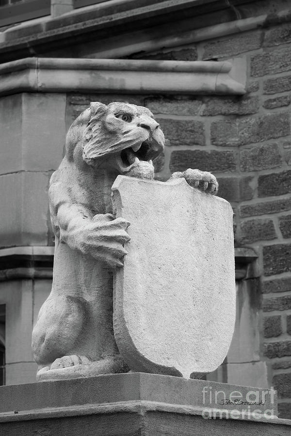 Princeton University Tiger Photograph by University Icons