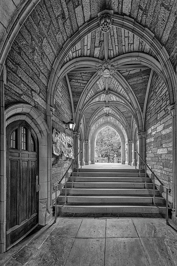 Princeton University View BW Photograph by Susan Candelario