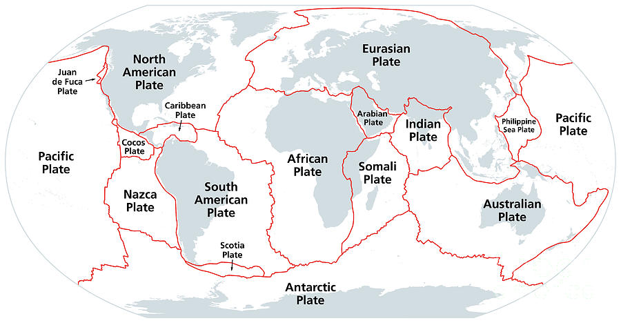 Principal tectonic plates, 16 major pieces of the Earth, gray map ...