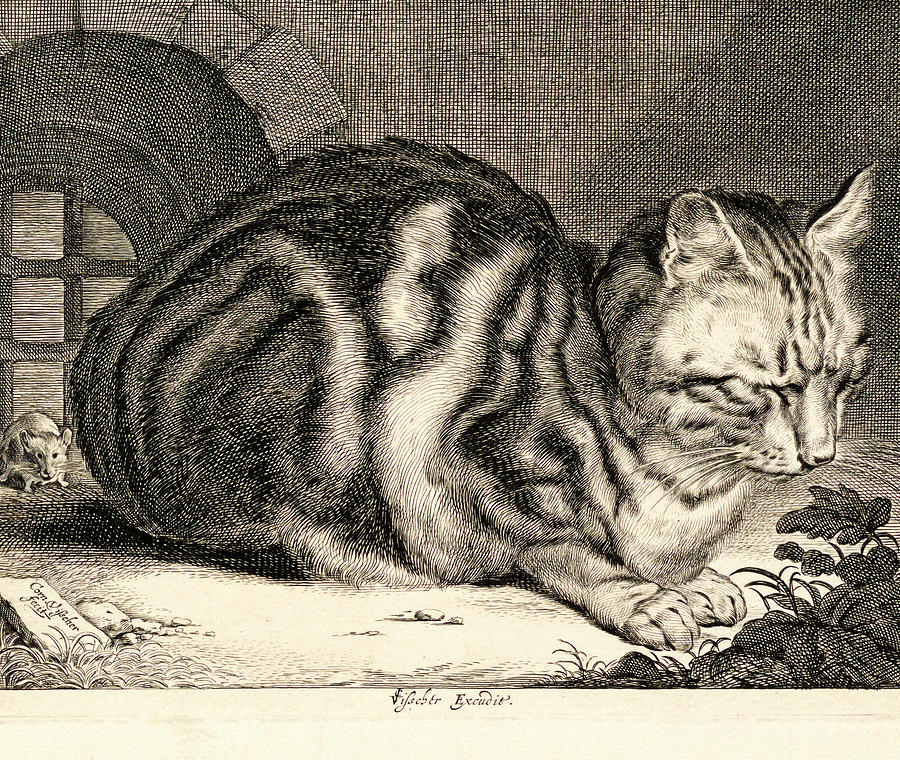 Print The Big Cat by Cornelis Visscher Drawing by Cornelis Visscher