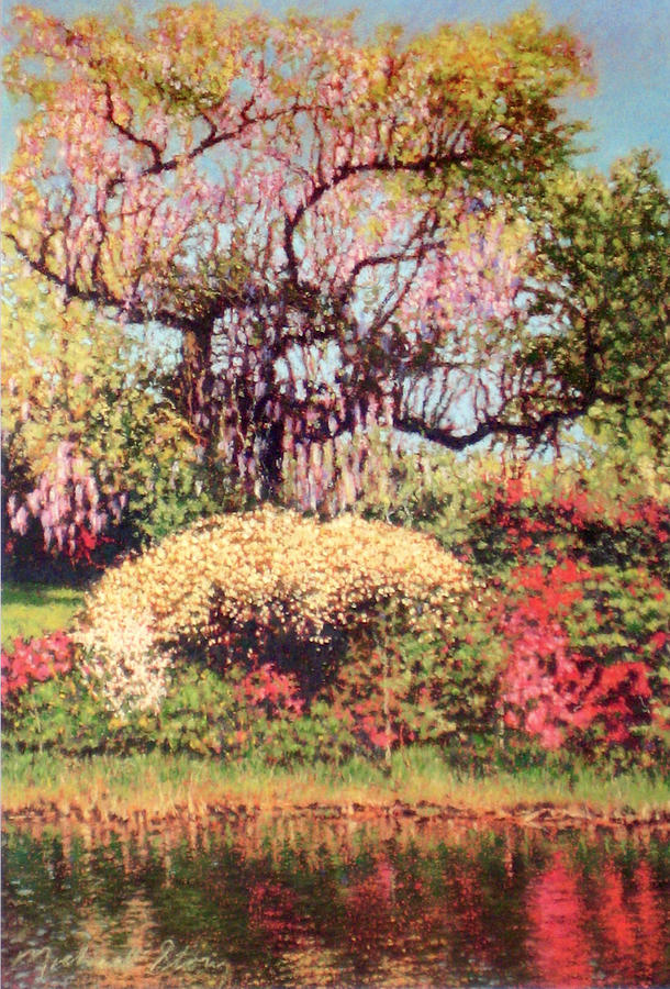 PRINT Wisteria Covered Oak Painting by Michael Story - Fine Art America