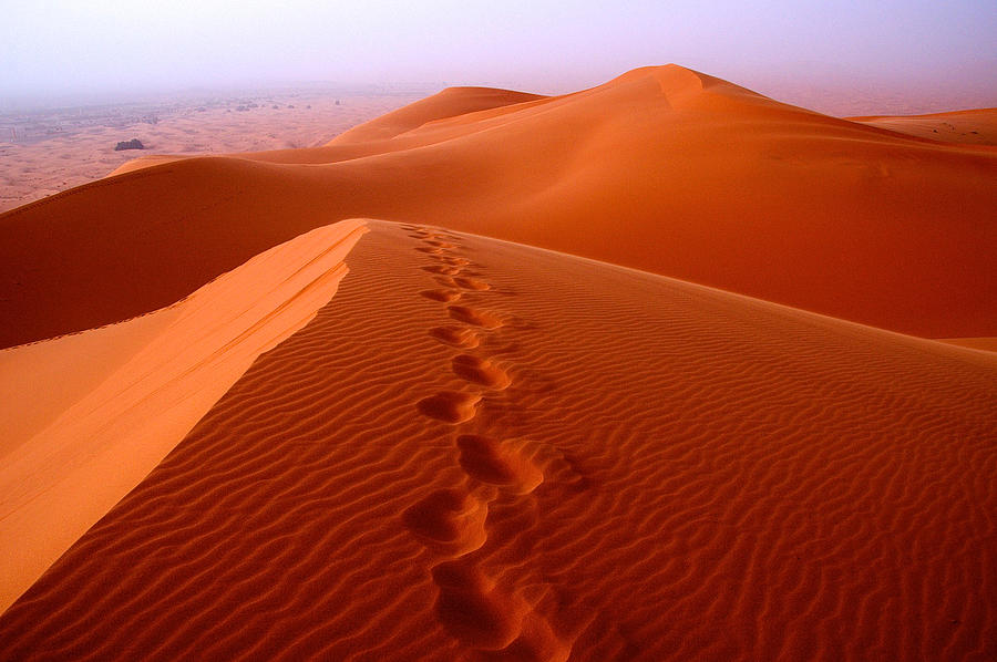 Prints in the desert sands, Merzouga dunes Photograph by Malcolm P Chapman