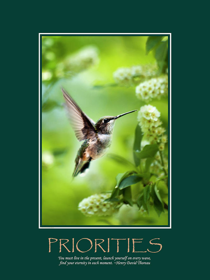 Priorities Inspirational Motivational Poster Art Photograph by Christina Rollo