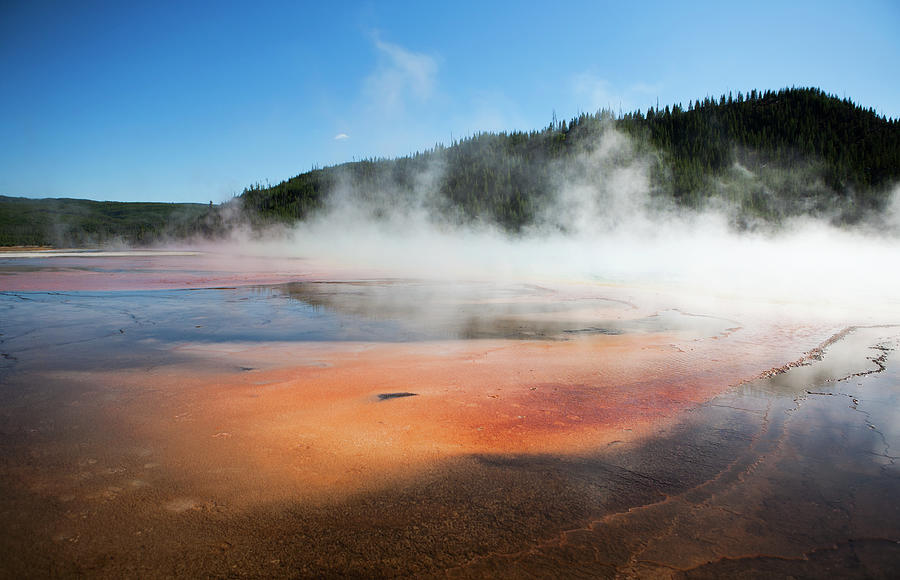 Prismatic Spring Orange Earth Photograph by Marilyn Hunt