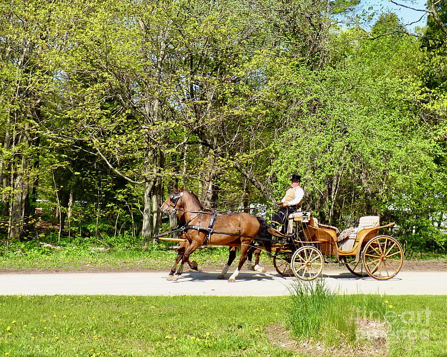 Private Carriage on Mackinac Island Photograph by Linda Brittain