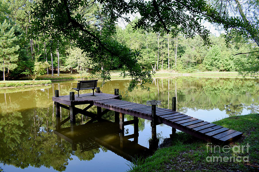 Private Dock Photograph by Anita Streich