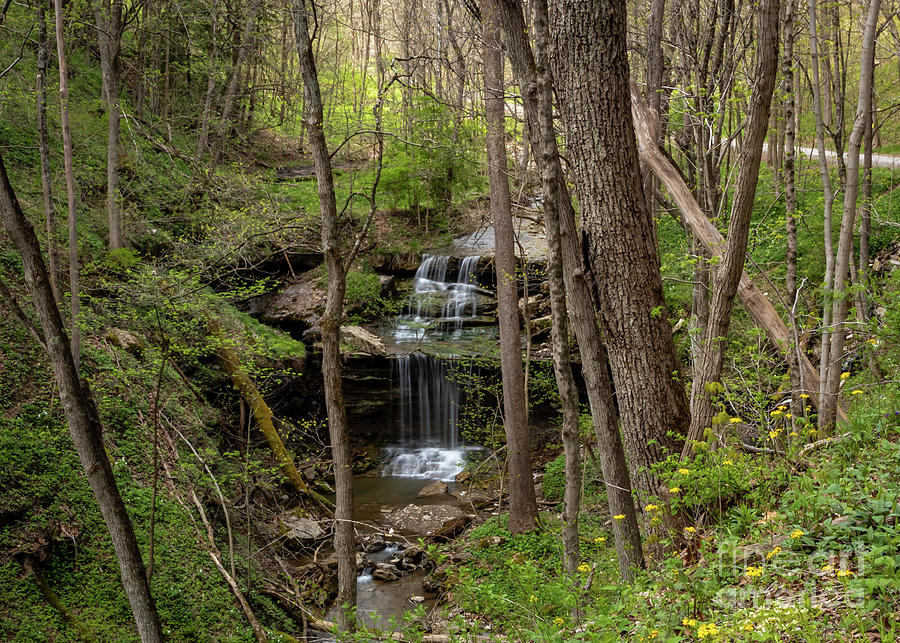 Private Waterfall Photograph by Holly April Harris - Fine Art America