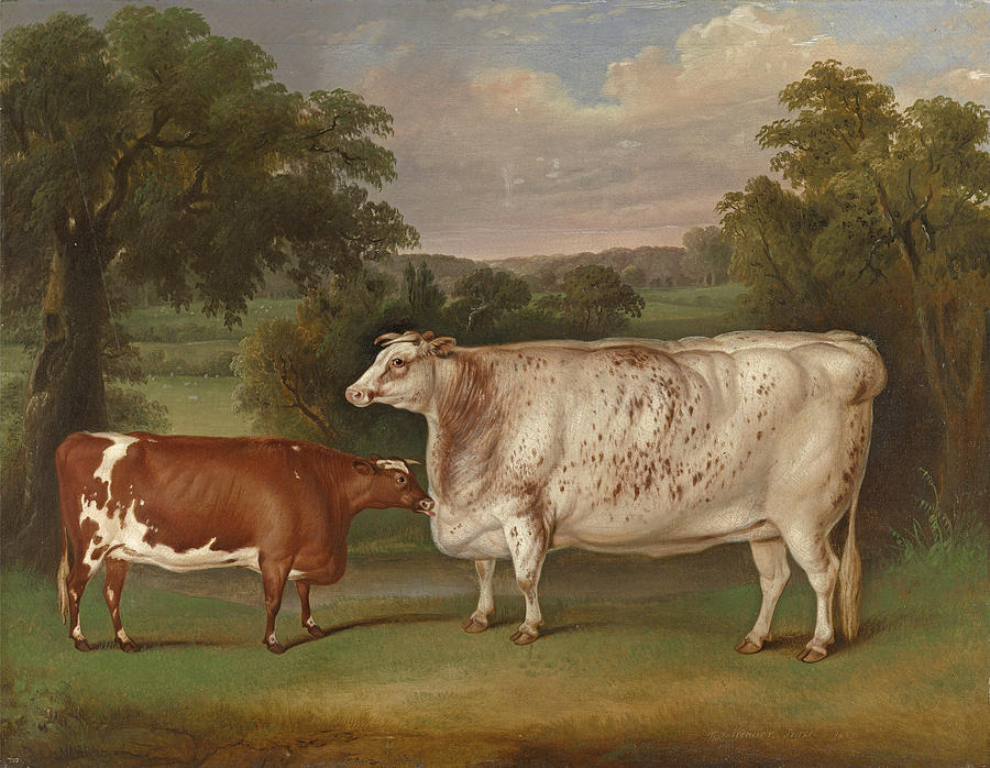 Prize Cattle in a Landscape Painting by Thomas Weaver