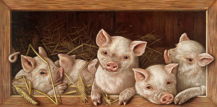 Pig Painting - Prize Piggies by American School