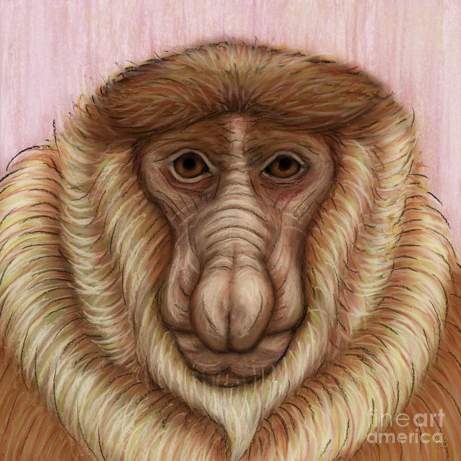 Proboscis Monkey Painting by Amy E Fraser