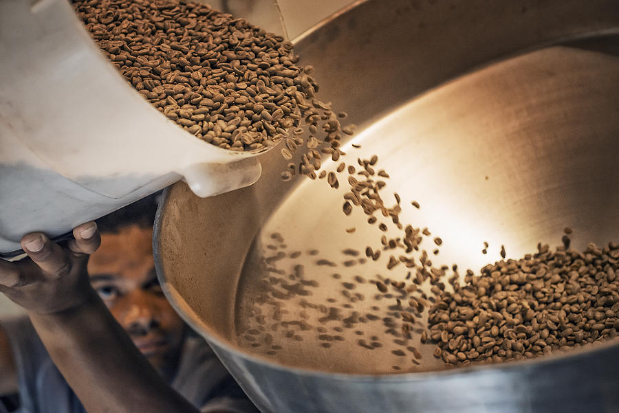 Processing coffee beans for roasting and blending at a farm which imports coffee beans. Photograph by Mint Images/ Tim Pannell
