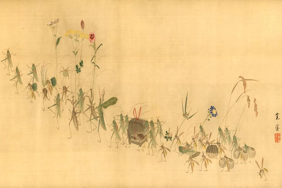 Procession Of Insects By Nishiyama Kanei Drawing