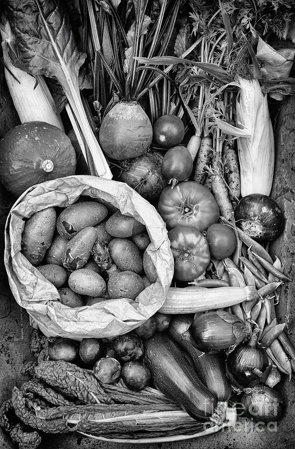 Produce From My Garden Monochrome portrait Photograph by Tim Gainey
