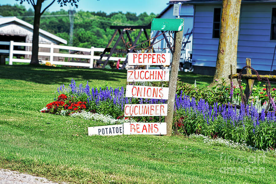 Produce Sign at Amish House in Rural Indiana Photograph by David Arment
