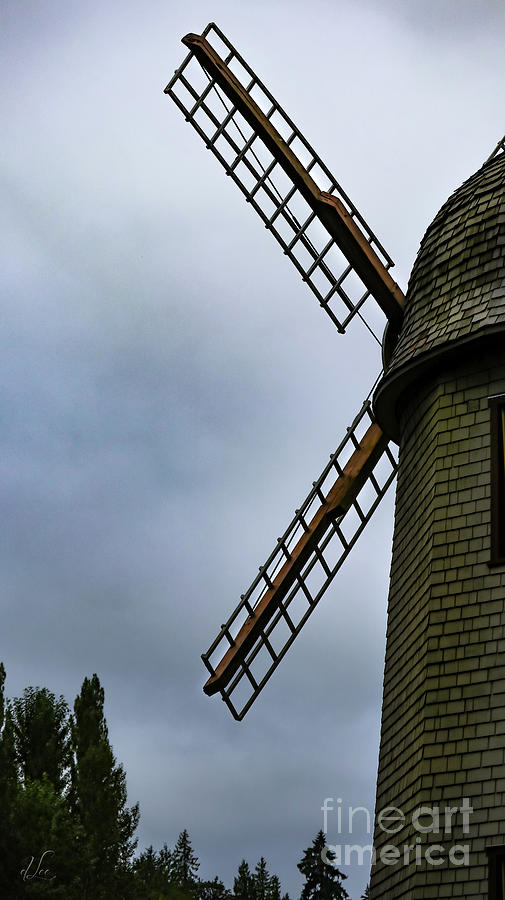 Pattern Photograph - Profile of a Mindful Windmill by D Lee
