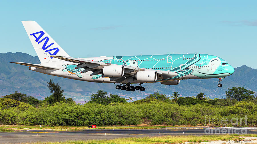 Profile of ANA A380 JA382A landing at Honolulu Hawaii Photograph by ...