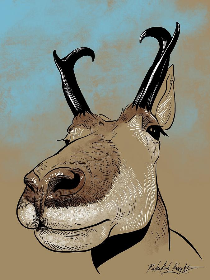 Pronghorn Drawing by Rebekah Knight Pixels