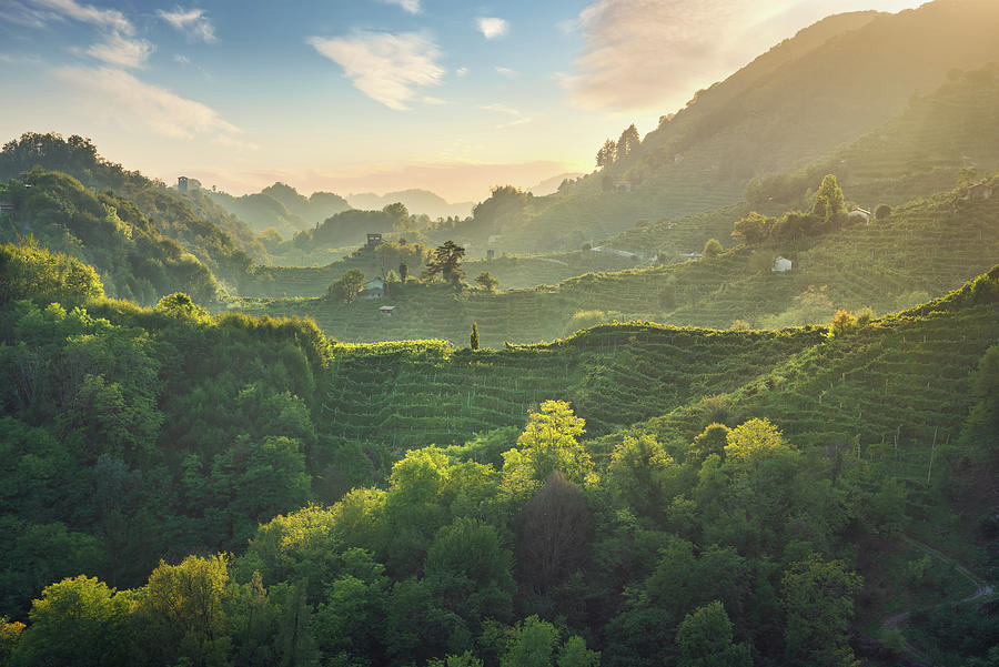 Prosecco Hills hogback, vineyards at sunset. Unesco Site. Italy Photograph by Stefano Orazzini