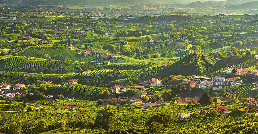 Prosecco Hills panoramic view of vineyards and wineries, Italy Photograph by Stefano Orazzini