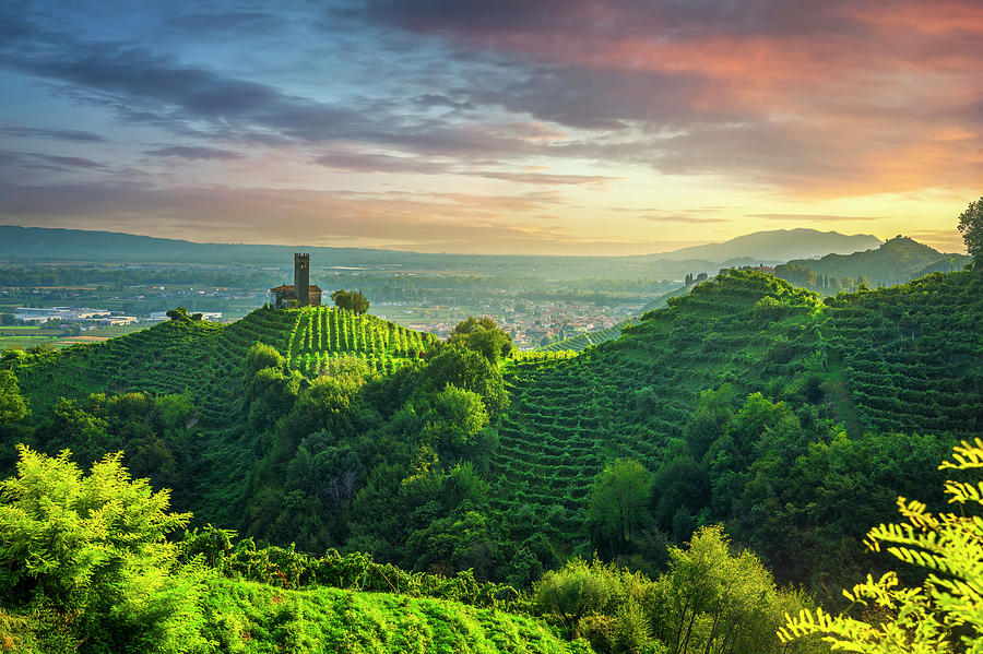 Prosecco Hills, vineyards and San Lorenzo church. Unesco Site. V Photograph by Stefano Orazzini