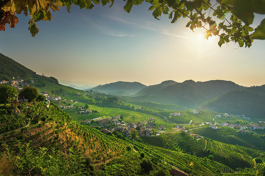 Prosecco Hills, vineyards panorama in the morning. Italy Photograph by Stefano Orazzini