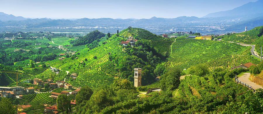 Prosecco Hills, vineyards panoramic view Photograph by Stefano Orazzini